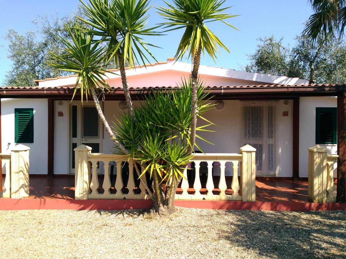 Casa Vacanze La Paloma Peschici Dış mekan fotoğraf
