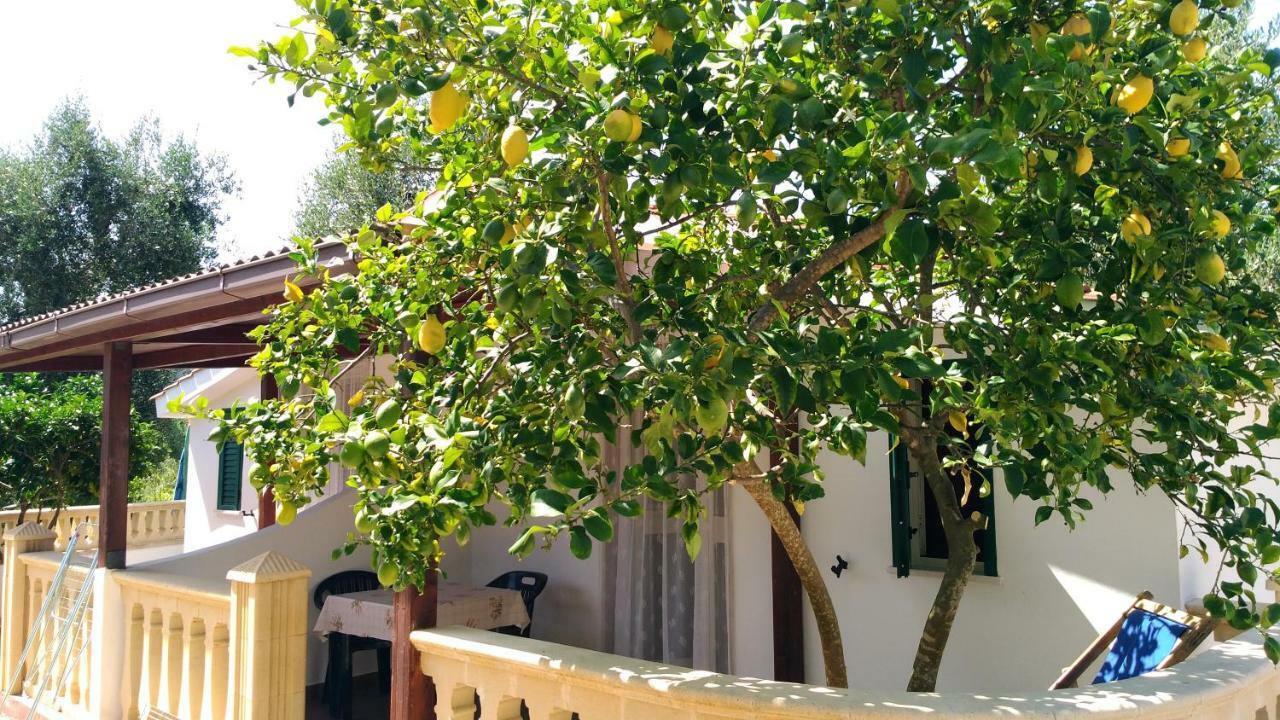 Casa Vacanze La Paloma Peschici Dış mekan fotoğraf
