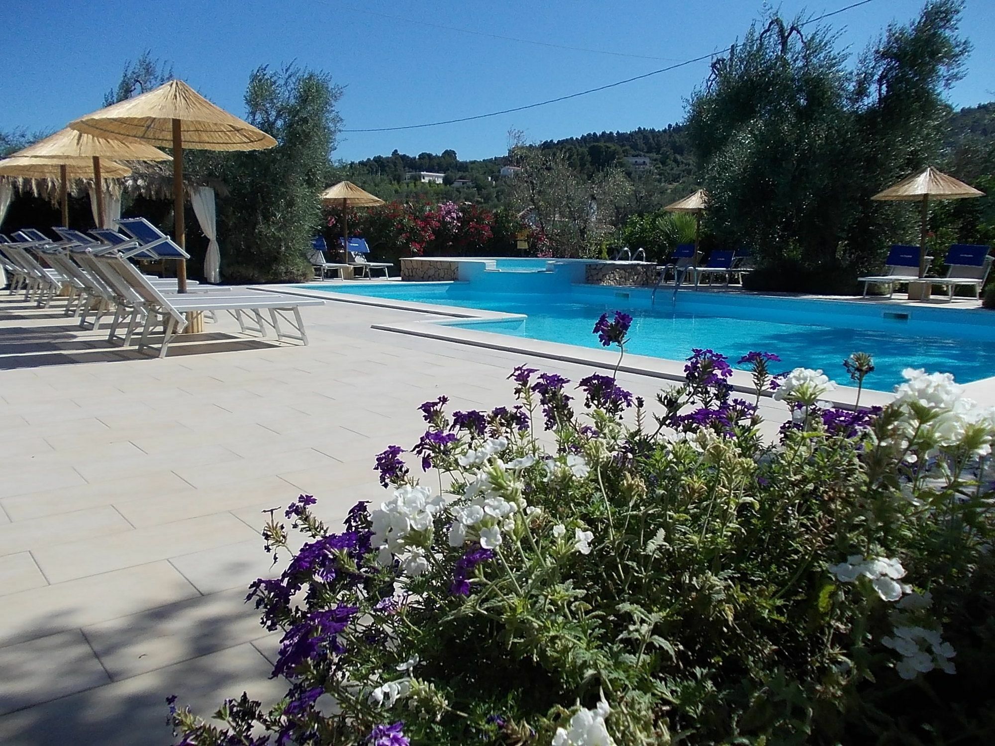 Casa Vacanze La Paloma Peschici Dış mekan fotoğraf