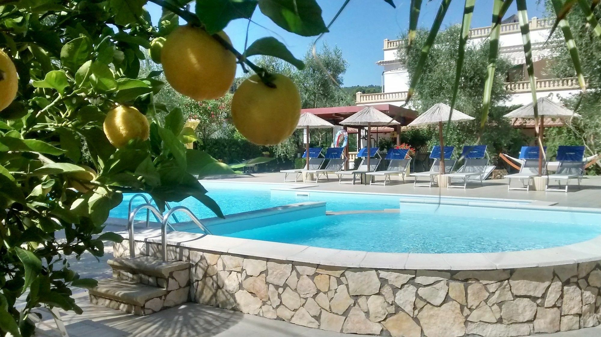 Casa Vacanze La Paloma Peschici Dış mekan fotoğraf
